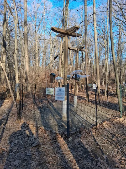 Forest Park Water Hole