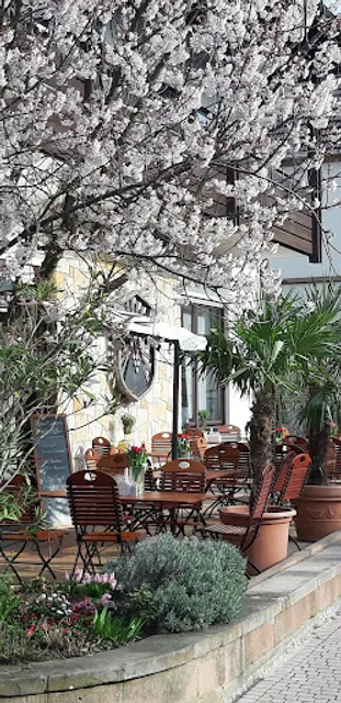 Weinhaus am Sonnenberg GmbH