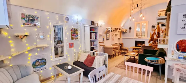 La Maison des Chats ~ Salón de thé & Brunch (+10y)