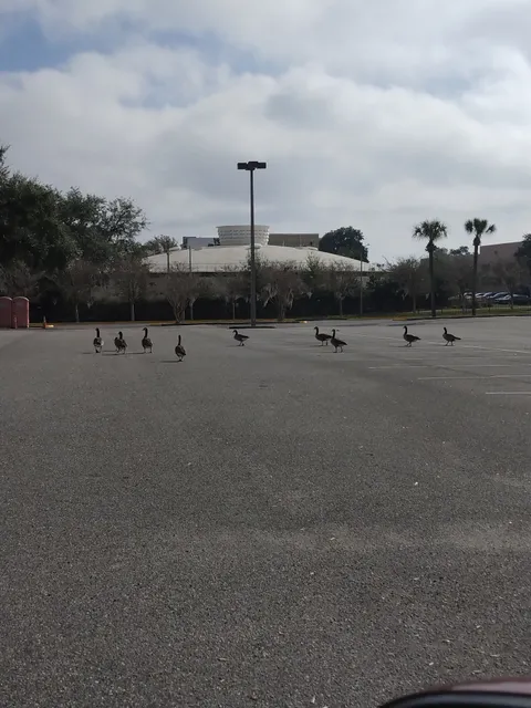 Florida State College at Jacksonville – Downtown Campus