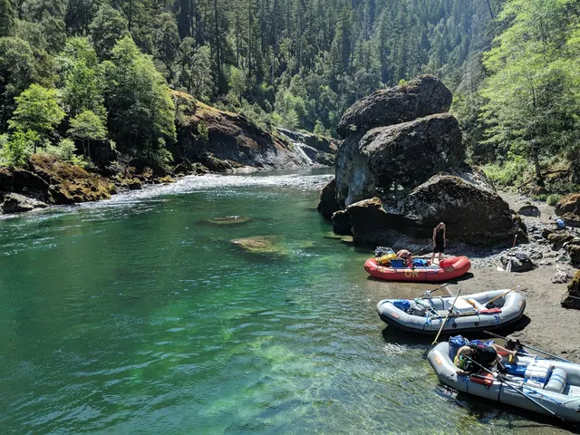 Treehouse Outfitters