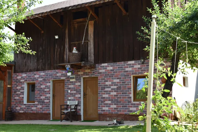 Диковата къща / Dikovata house