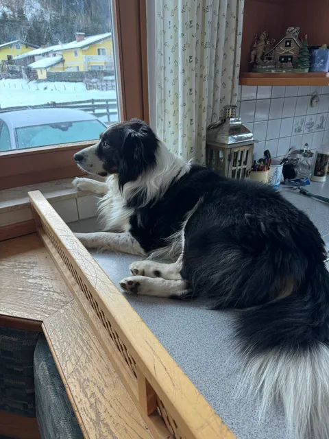 Frühstückspension Stegerhof