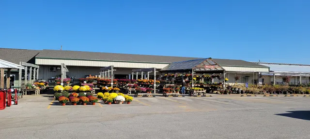 Dammann's Garden Company