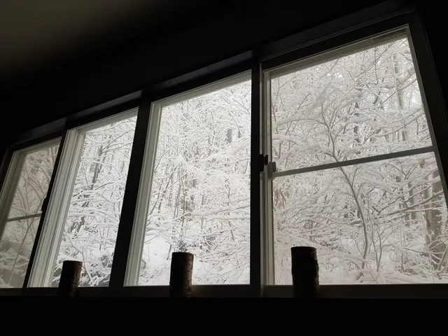 The Bohemians' Shelter