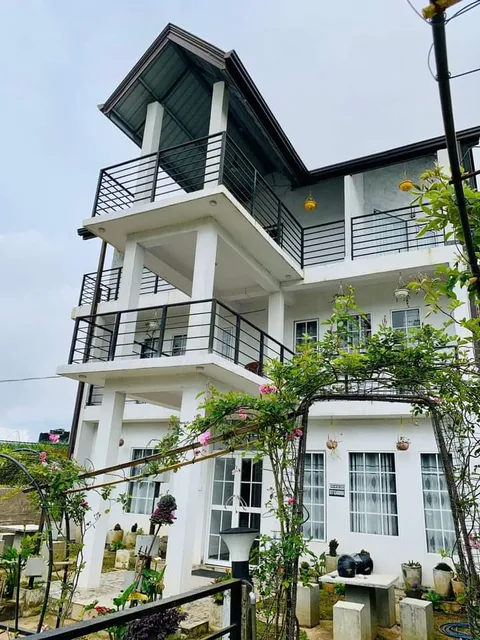 Blackpool Red Rose, Nuwara Eliya