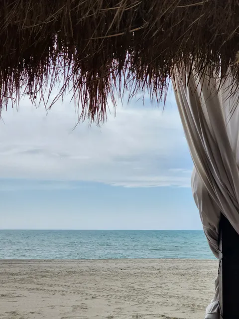 PineTrees Beach Houses