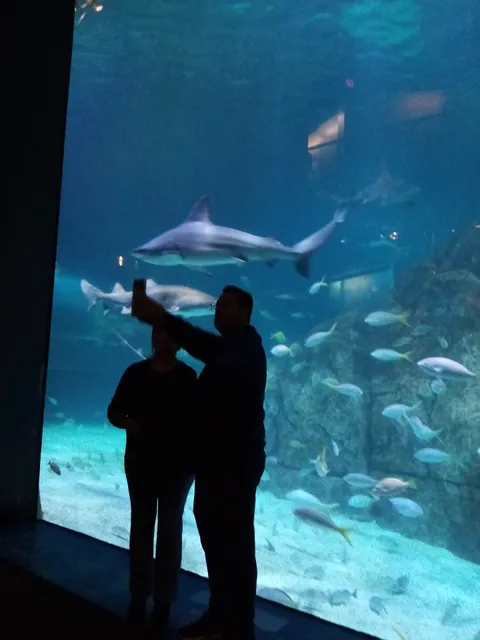 Anchorage Square Plaza