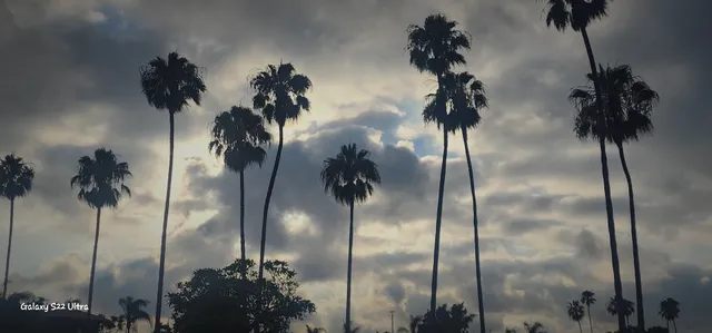 U.S. Route 101 - Pacific Coast Highway