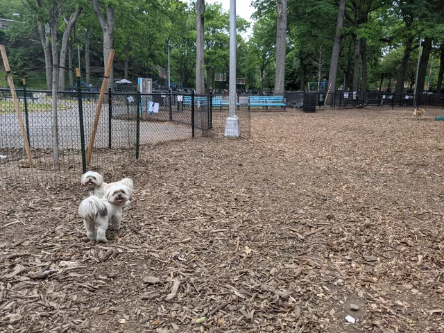 Marcus Garvey Dog Run