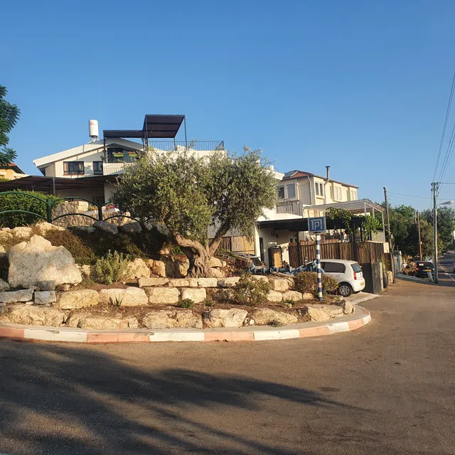 צימר ז'בוטינסקי jabotinsky 37