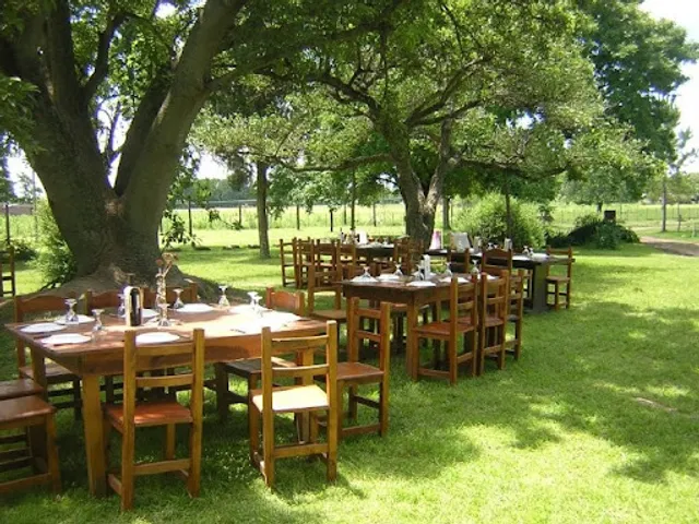 El Gateado CAMPO de Tomás jofre