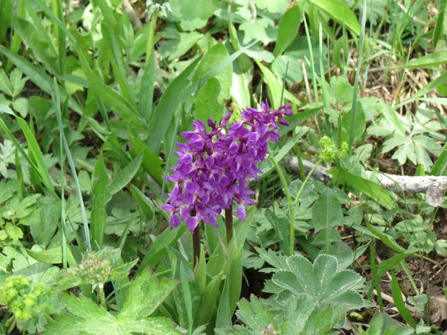 photo-1