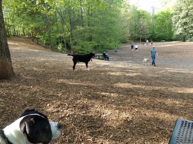 Oakhurst Dog Park