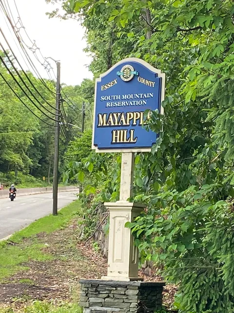 Mayapple Hill