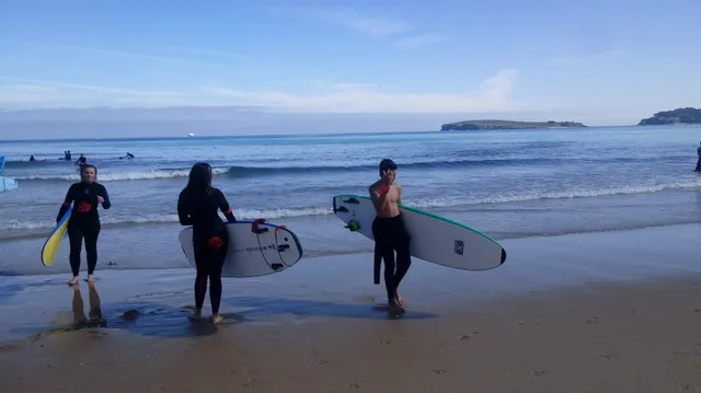 Apartamentos Torremar