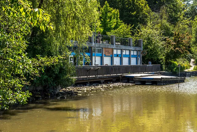 Stanley Park Ecology Nature House on Lost Lagoon