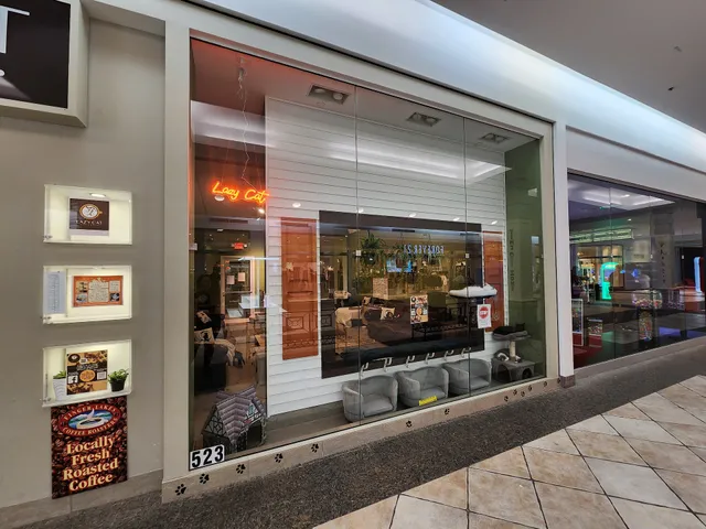 Lazy Cat Lounge and Cafe