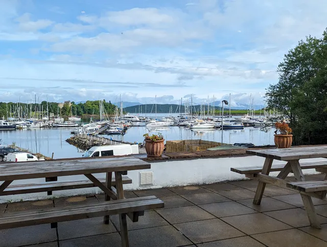 The Wide Mouthed Frog Rooms, Grill and Whisky Bar