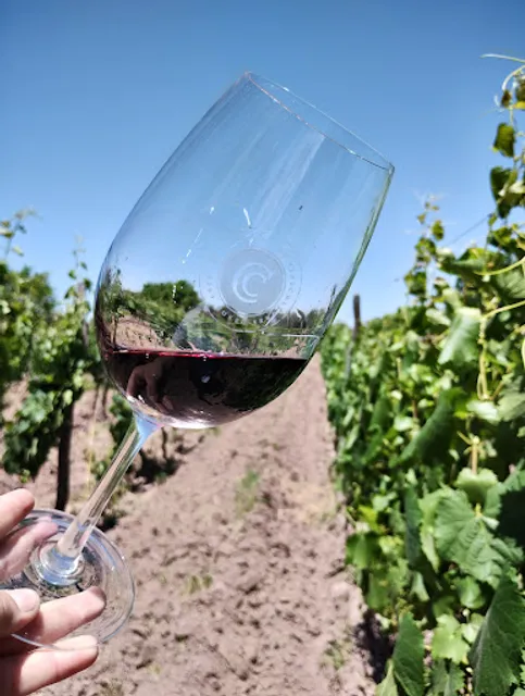 Cecchin Family Winery