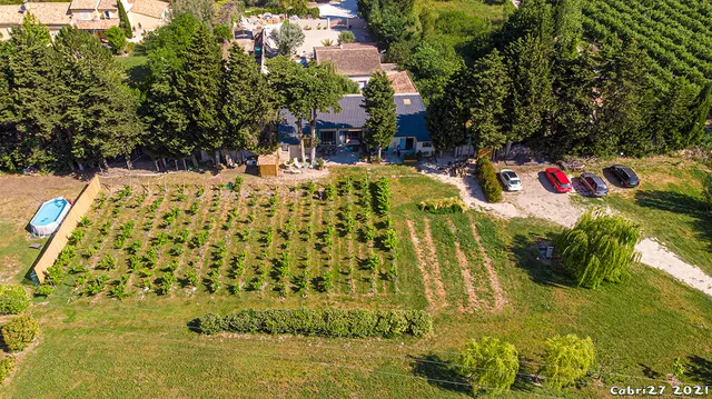 Safranière des Sorgues