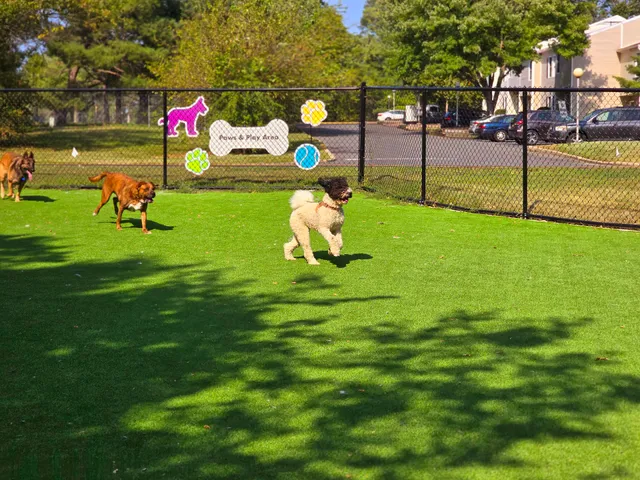 Cooper River Dog Park