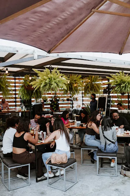 ASTOR 221 Asador Mexicano