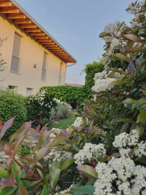 Bio B&B Vivere la Vita