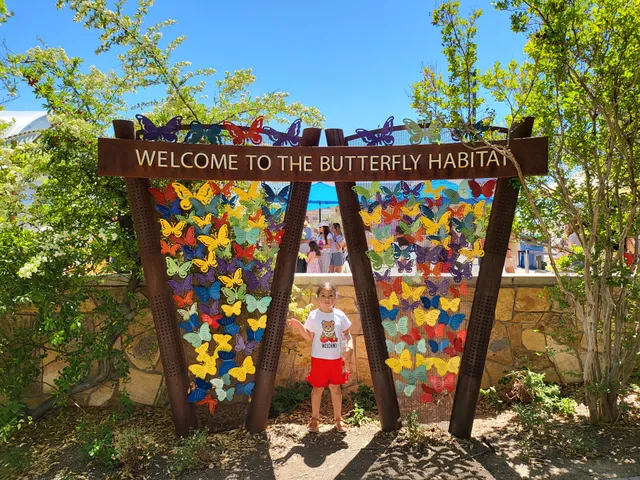 Butterfly Habitat
