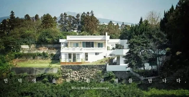 White Whale Guest House