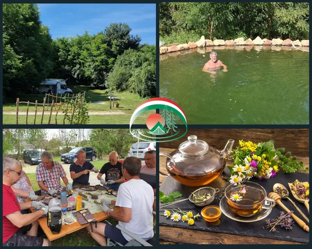 Koppány Pines Camperstop & Retreat