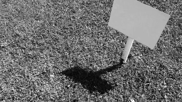 Signs and Designs of Cresco