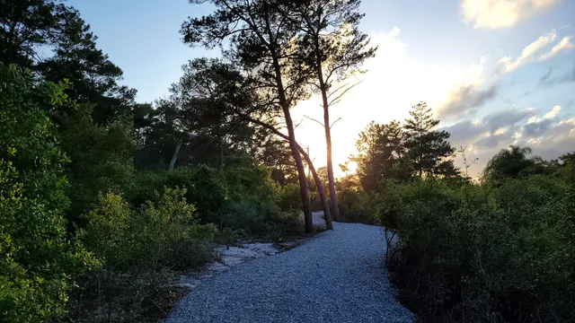 Hobe Sound Scrub Preserve