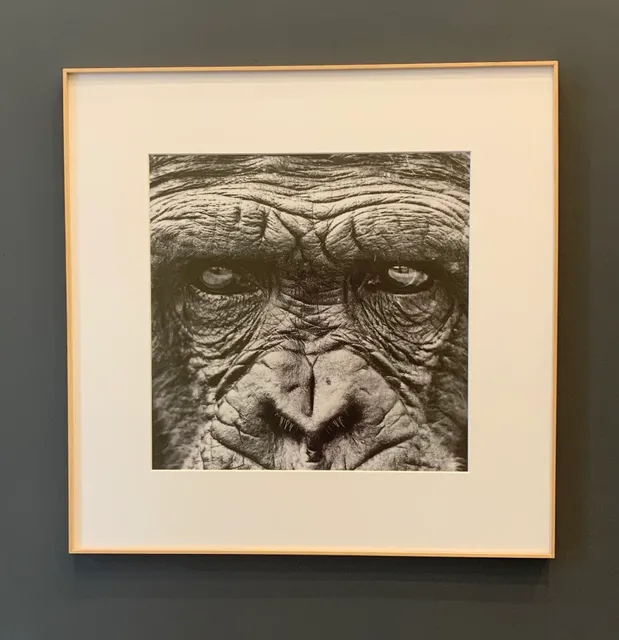 Espacio de arte Dos Ajolotes