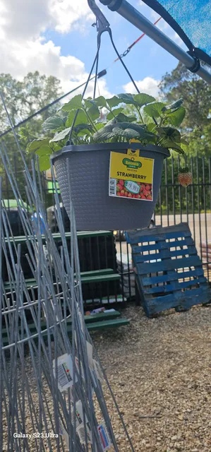 Port Vincent Farm & Home Supply Inc.