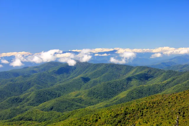 Pigeon Forge TN Cabins