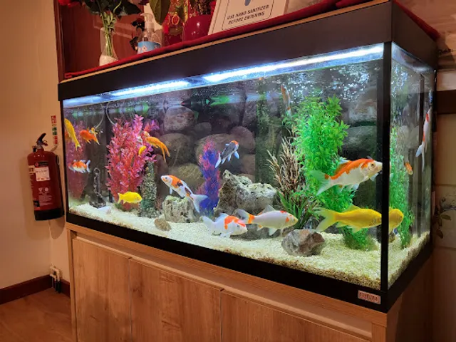 Golden Wok Chinese Restaurant