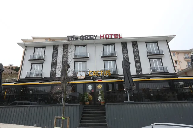 The GREY HOTEL