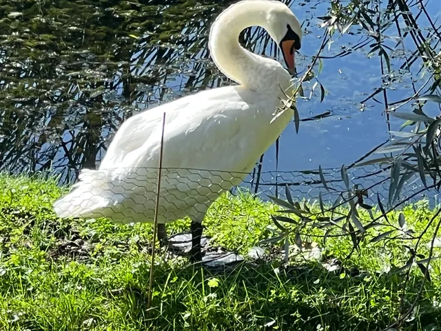Ferienwohnung Weissensberger Weiher bei Lindau