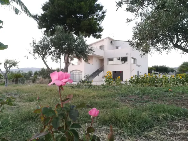 B&B Sole Della Valle