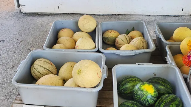 Gall's Garden Produce