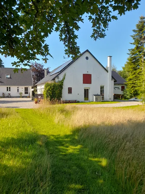 Vibes Bed & Breakfast