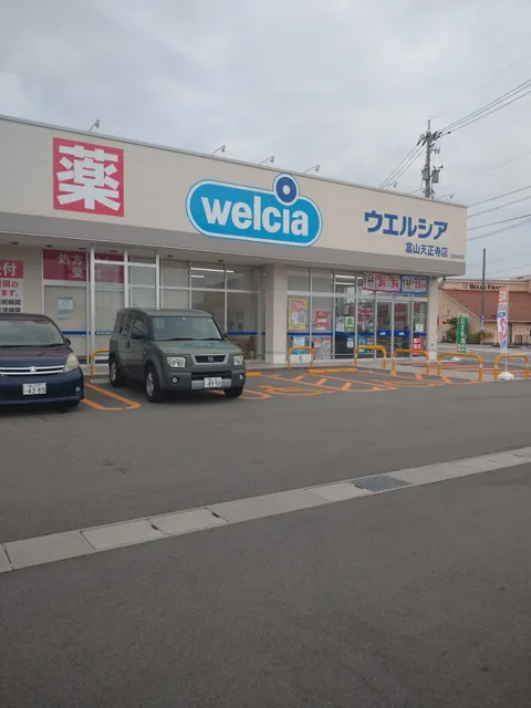Welcia Toyama Tenshoji