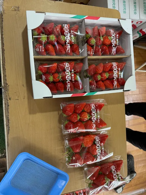 バイテクいちご園直売所