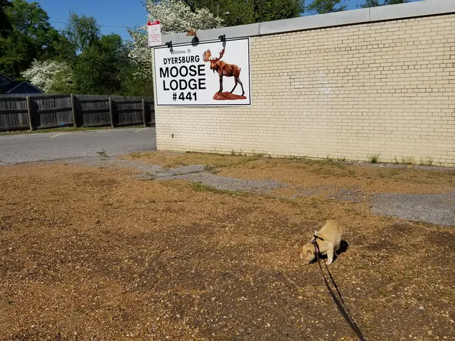 Loyal Order of Moose