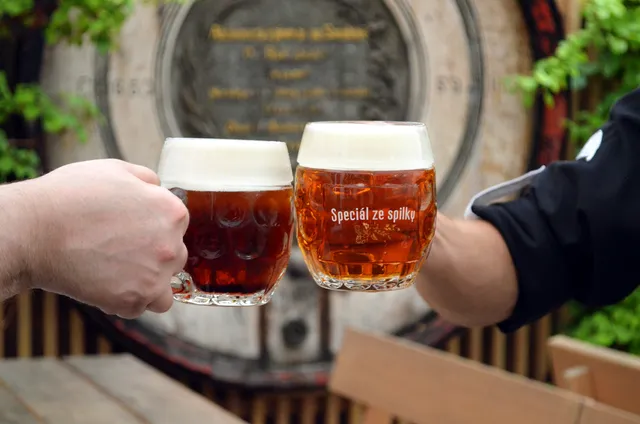 Potrefená husa Na Verandách