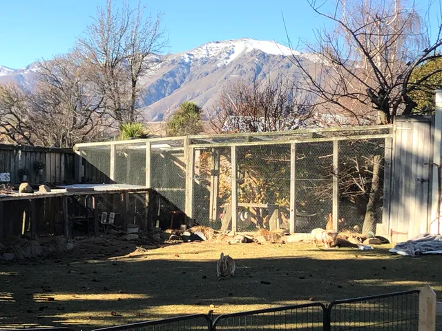 Tailor Made Tekapo Accommodation - Guesthouse & Hostel