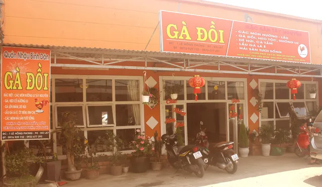 GÀ ĐỒI ĐÀ LẠT