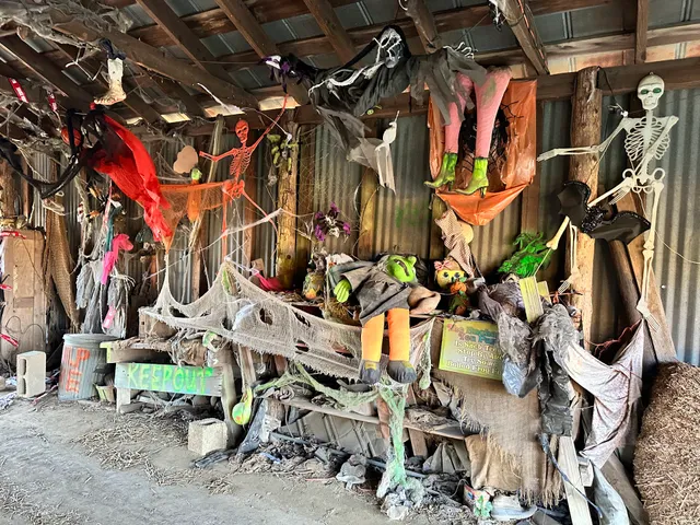 Gallmeyer Farms The Pumpkin Patch