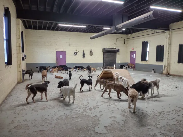 The Crate Escape of Baltimore